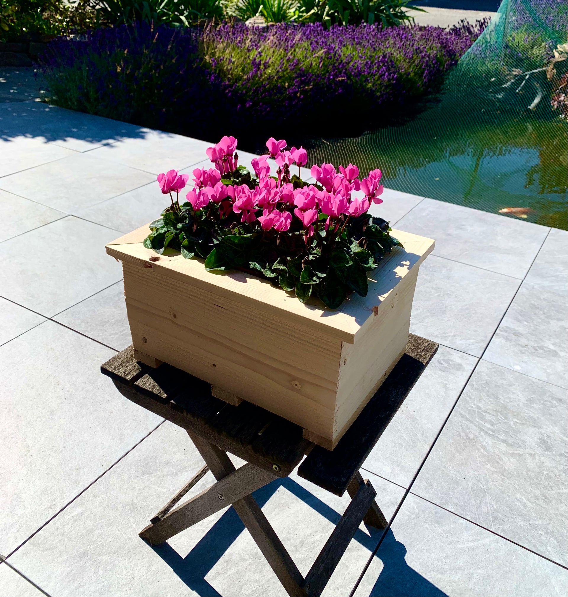Hölzerner Pflanzkasten inklusive Alpenveilchen und Blumenerde. – Potplantje